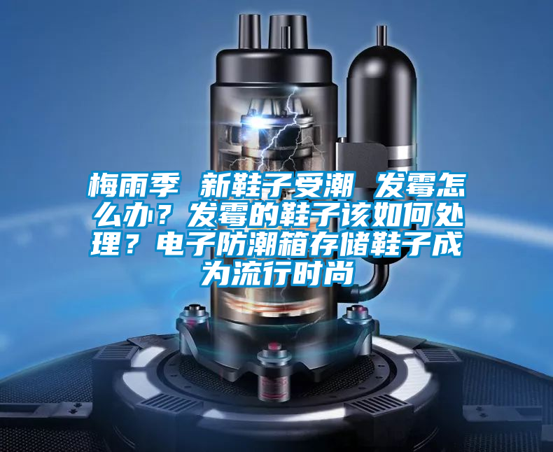 梅雨季 新鞋子受潮 發霉怎么辦?發霉的鞋子該如何處理?電子防潮箱存儲鞋子成為流行時尚