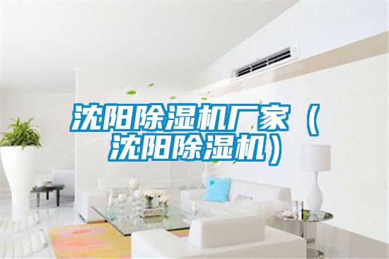 沈陽(yáng)除濕機(jī)廠家(沈陽(yáng)除濕機(jī))
