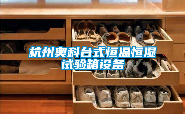 杭州奧科臺式恒溫恒濕試驗(yàn)箱設(shè)備