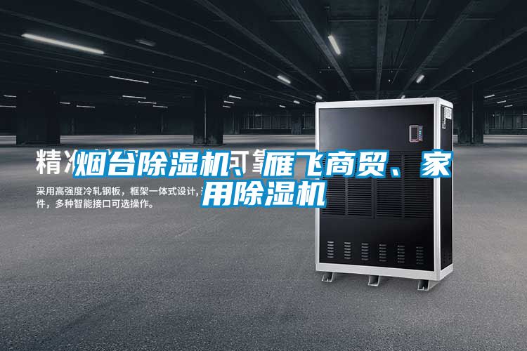 煙臺除濕機、雁飛商貿、家用除濕機
