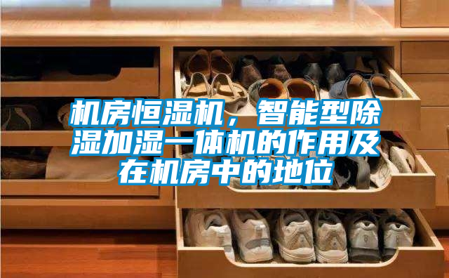 機房恒濕機,智能型除濕加濕一體機的作用及在機房中的地位