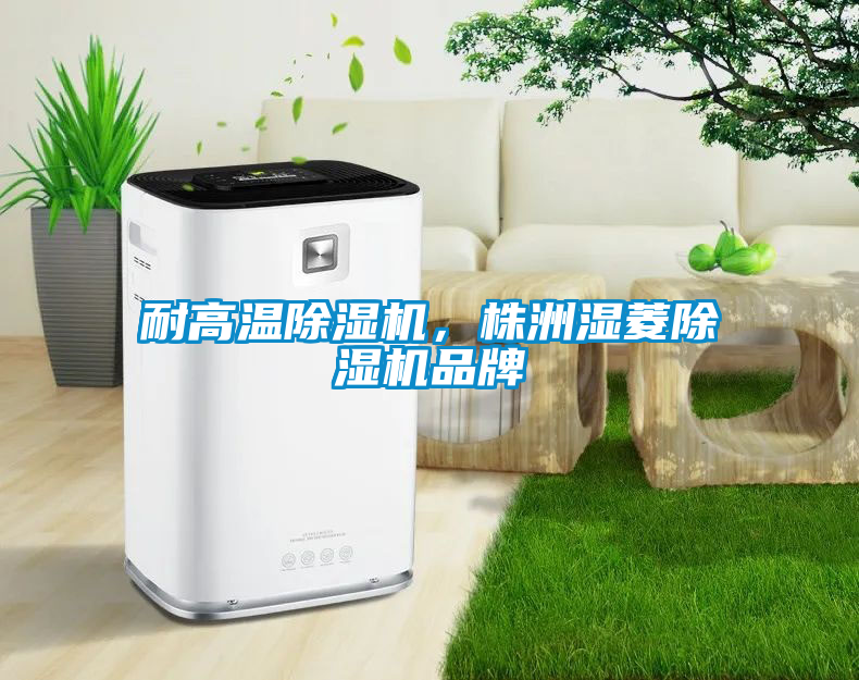 耐高溫除濕機,株洲濕菱除濕機品牌