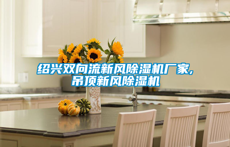 紹興雙向流新風(fēng)除濕機廠家,吊頂新風(fēng)除濕機