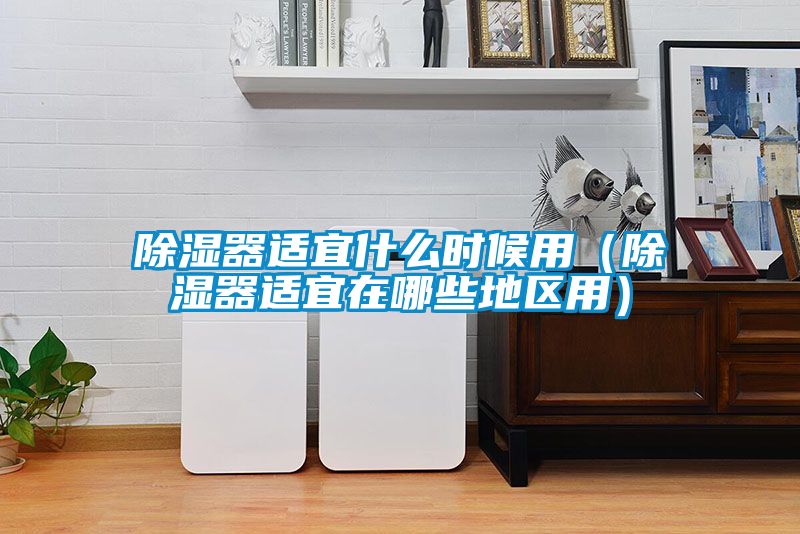 除濕器適宜什么時候用(除濕器適宜在哪些地區(qū)用)