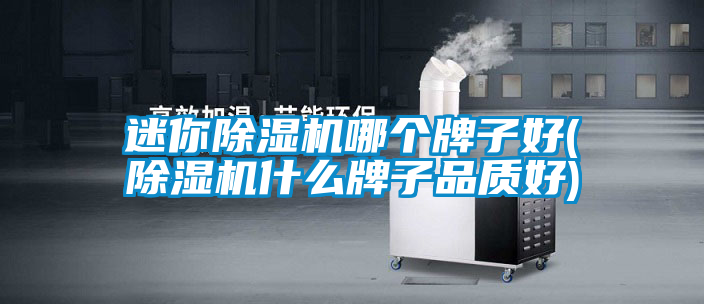 迷你除濕機哪個牌子好(除濕機什么牌子品質(zhì)好)