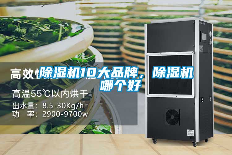 除濕機10大品牌,除濕機 哪個好
