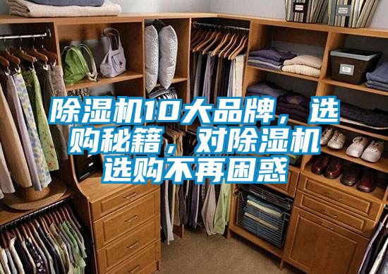 除濕機10大品牌，選購秘籍，對除濕機選購不再困惑