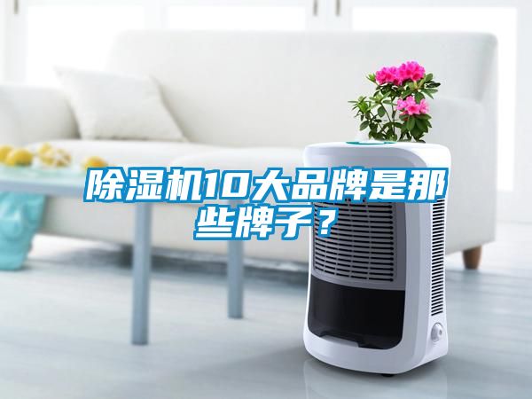 除濕機10大品牌是那些牌子？