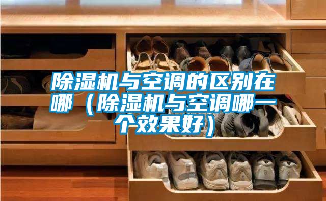 除濕機與空調的區別在哪(除濕機與空調哪一個效果好)