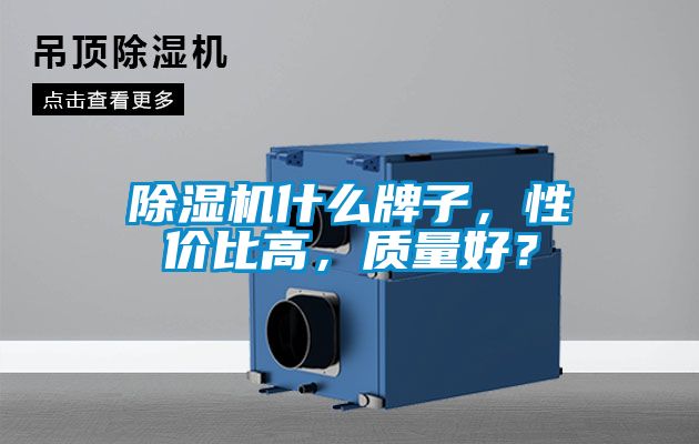 除濕機(jī)什么牌子,性價(jià)比高,質(zhì)量好?