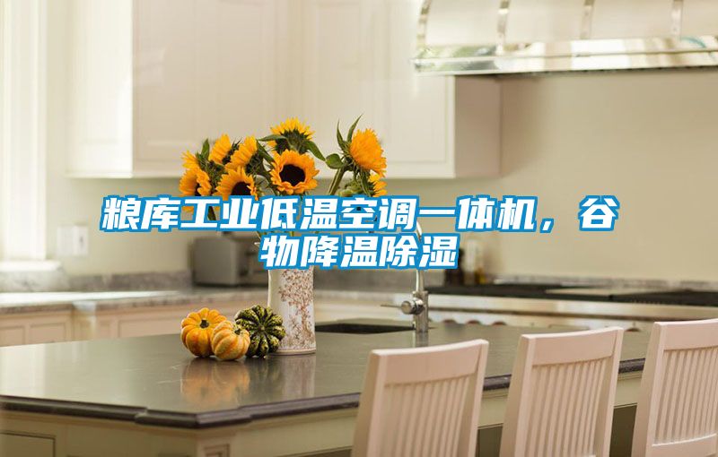 糧庫工業(yè)低溫空調(diào)一體機(jī),谷物降溫除濕