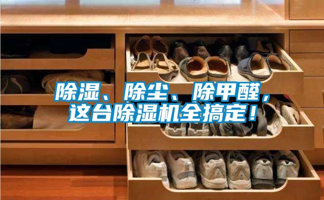 除濕、除塵、除甲醛,這臺除濕機全搞定!