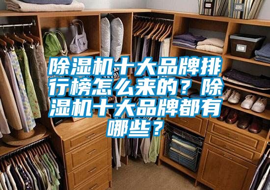 除濕機十大品牌排行榜怎么來的？除濕機十大品牌都有哪些？