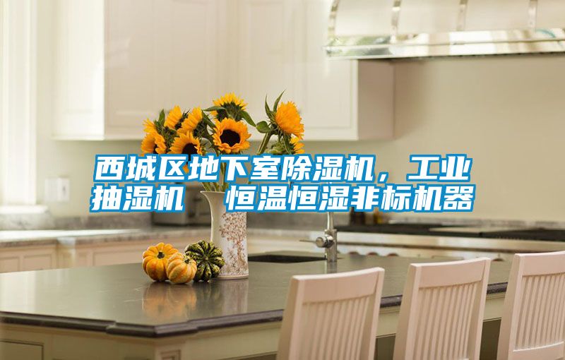 西城區地下室除濕機,工業抽濕機 恒溫恒濕非標機器