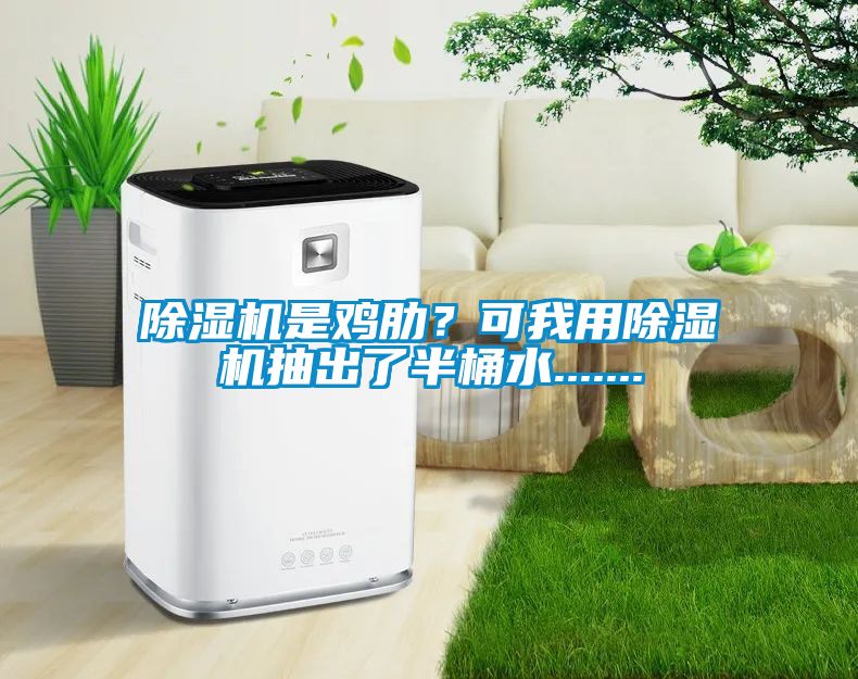 除濕機是雞肋?可我用除濕機抽出了半桶水.......