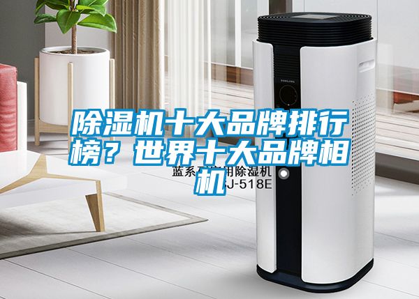 除濕機十大品牌排行榜？世界十大品牌相機