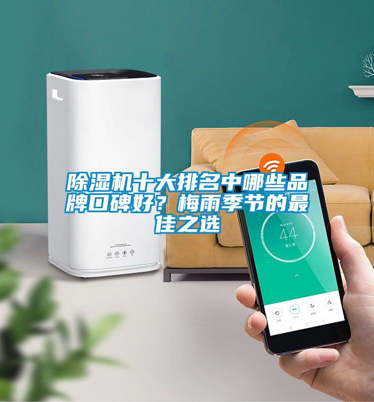 除濕機(jī)十大排名中哪些品牌口碑好?梅雨季節(jié)的最佳之選
