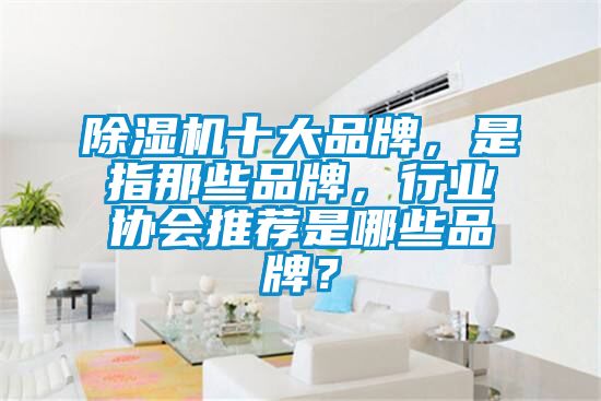 除濕機十大品牌,是指那些品牌,行業協會推薦是哪些品牌?