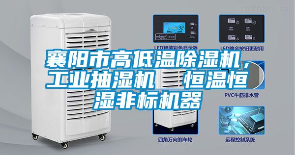 襄陽市高低溫除濕機,工業(yè)抽濕機 恒溫恒濕非標(biāo)機器