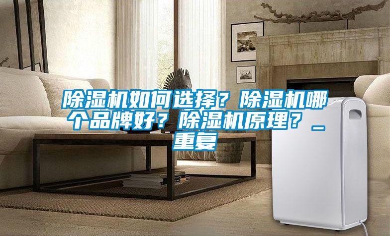 除濕機(jī)如何選擇?除濕機(jī)哪個(gè)品牌好?除濕機(jī)原理?_重復(fù)