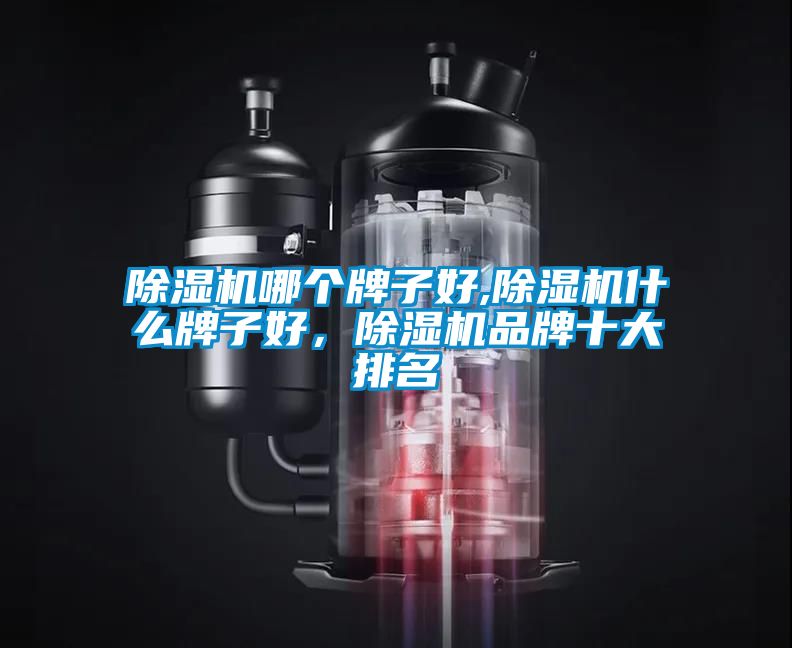 除濕機哪個牌子好,除濕機什么牌子好，除濕機品牌十大排名