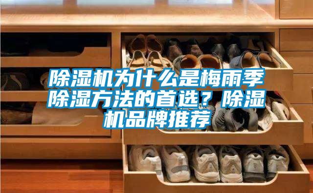 除濕機為什么是梅雨季除濕方法的首選？除濕機品牌推薦