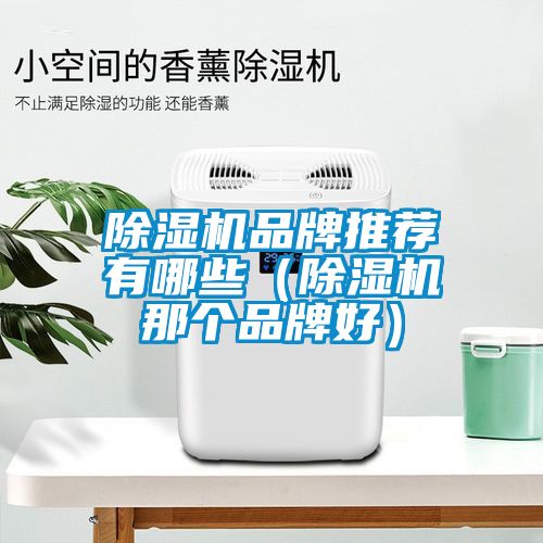 除濕機(jī)品牌推薦有哪些(除濕機(jī)那個品牌好)