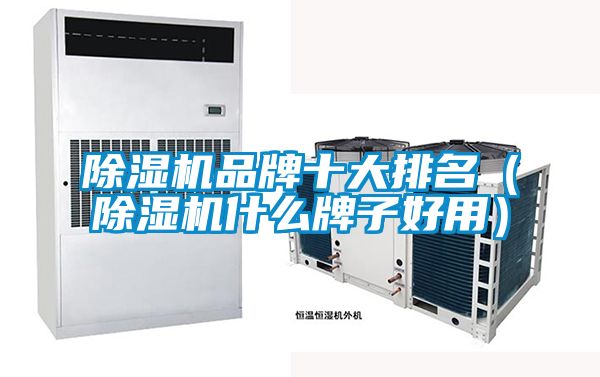 除濕機品牌十大排名(除濕機什么牌子好用)