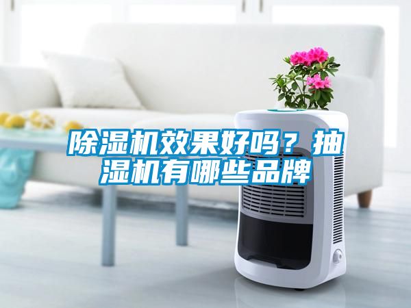 除濕機效果好嗎？抽濕機有哪些品牌