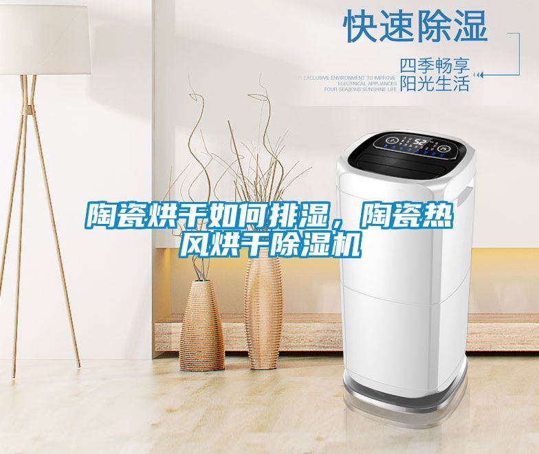 陶瓷烘干如何排濕,陶瓷熱風(fēng)烘干除濕機(jī)