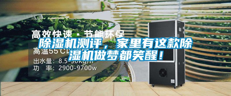 除濕機測評，家里有這款除濕機做夢都笑醒！