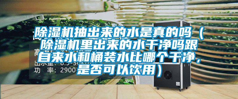 除濕機抽出來的水是真的嗎（除濕機里出來的水干凈嗎跟自來水和桶裝水比哪個干凈，是否可以飲用）