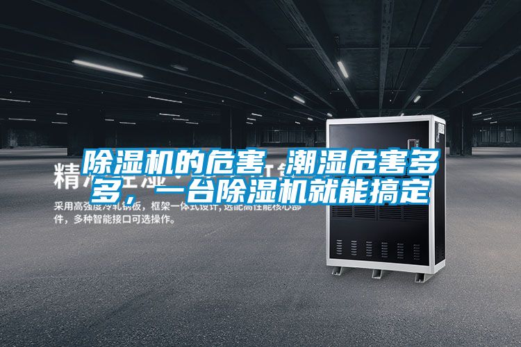 除濕機(jī)的危害 潮濕危害多多，一臺除濕機(jī)就能搞定