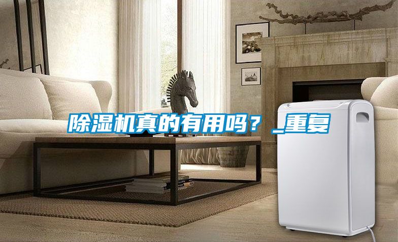 除濕機(jī)真的有用嗎？_重復(fù)