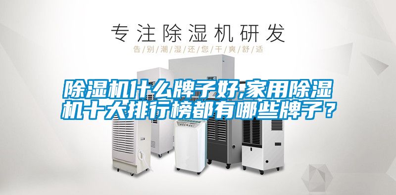除濕機(jī)什么牌子好,家用除濕機(jī)十大排行榜都有哪些牌子?