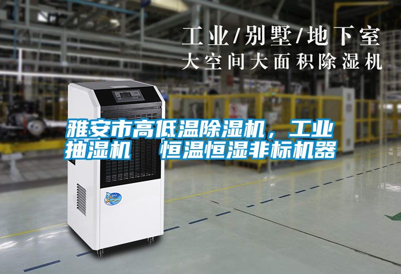 雅安市高低溫除濕機,工業抽濕機 恒溫恒濕非標機器
