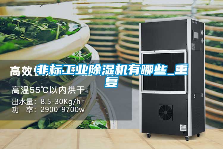 非標工業(yè)除濕機有哪些_重復