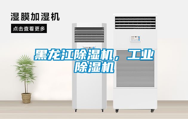 黑龍江除濕機，工業除濕機