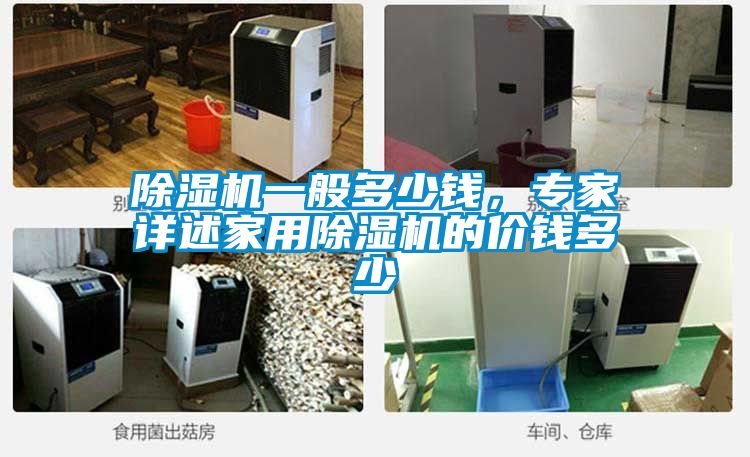 除濕機一般多少錢,專家詳述家用除濕機的價錢多少